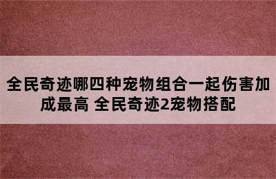 全民奇迹哪四种宠物组合一起伤害加成最高 全民奇迹2宠物搭配